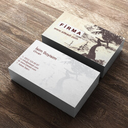 Şehir Bölge Planlamacısı online tasarla