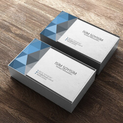 Serbest Muhasebeci online tasarla