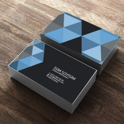 Serbest Muhasebeci online tasarla