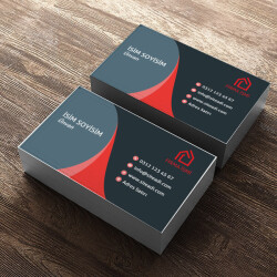 Sigorta Kırmızı Gri online tasarla