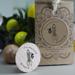 Uzay Mekiği Ahşap Saplı Kütüphane Kaşesi online tasarla