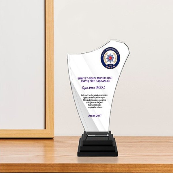 Teşekkür Ekonomik Kristal Plaket Şlt002 online tasarla
