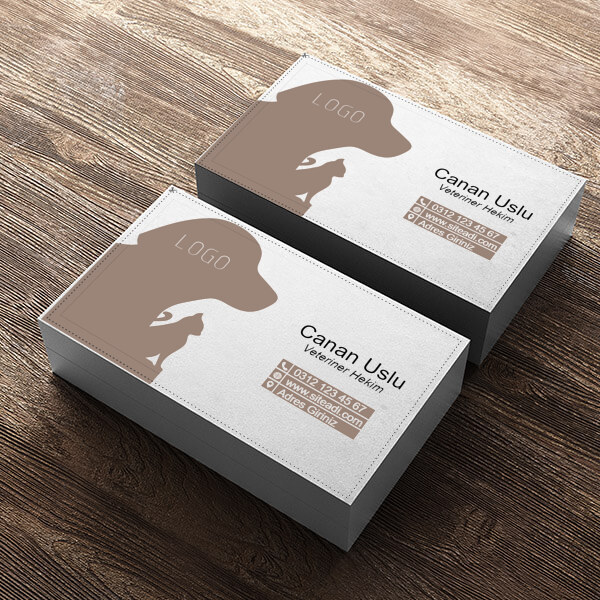 Veteriner online tasarla