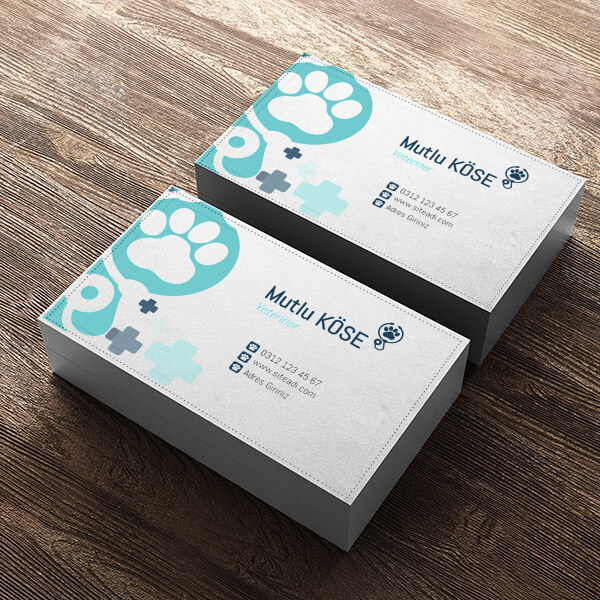 Veteriner Hekim online tasarla